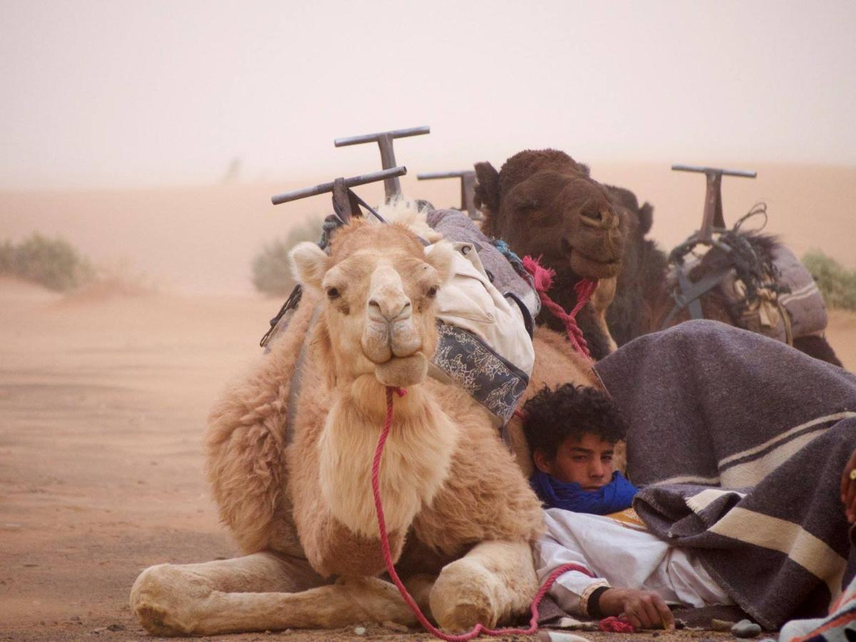 Kasbah Erg Chebbi Hotell Merzouga Exteriör bild