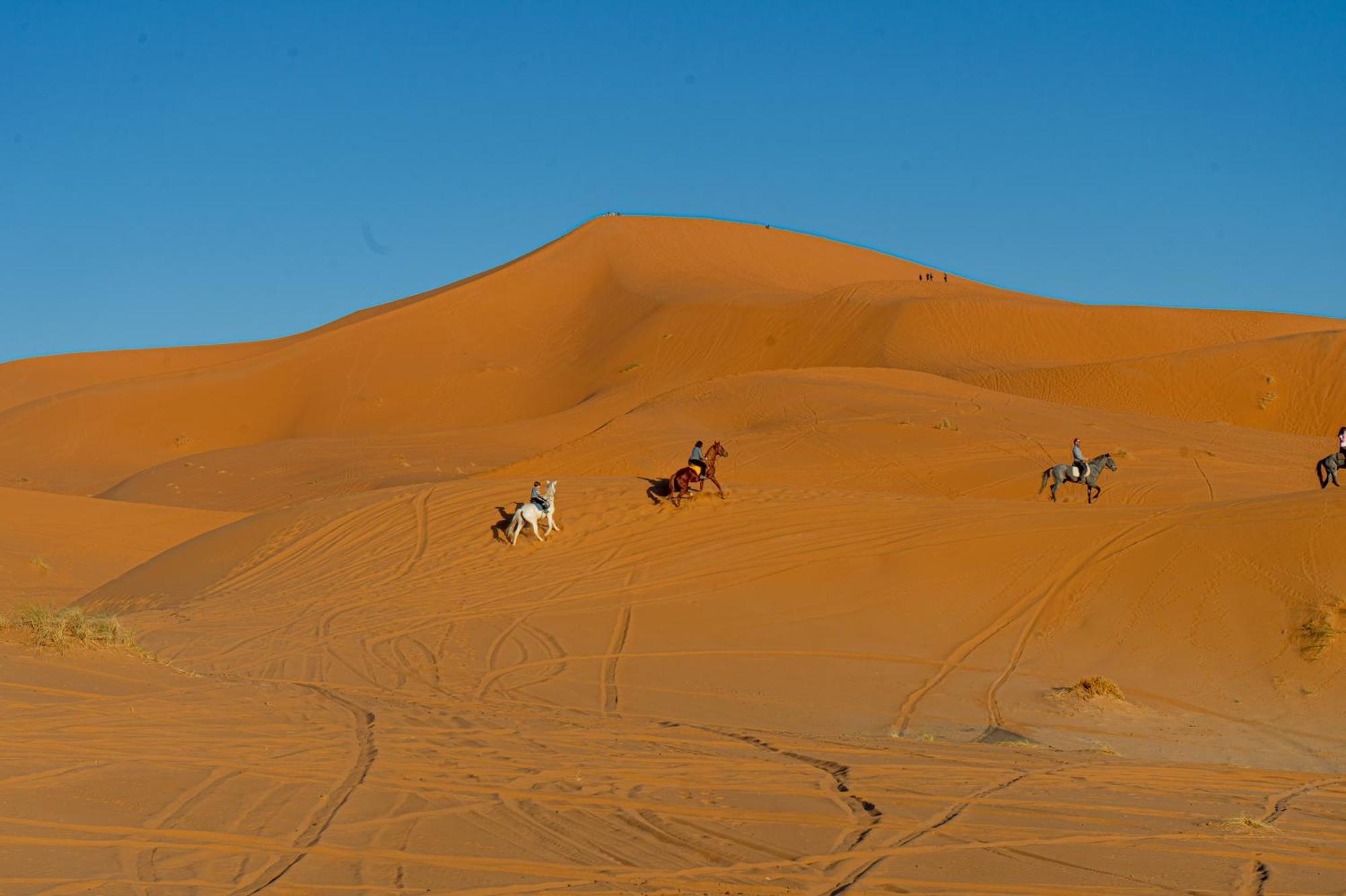 Kasbah Erg Chebbi Hotell Merzouga Exteriör bild