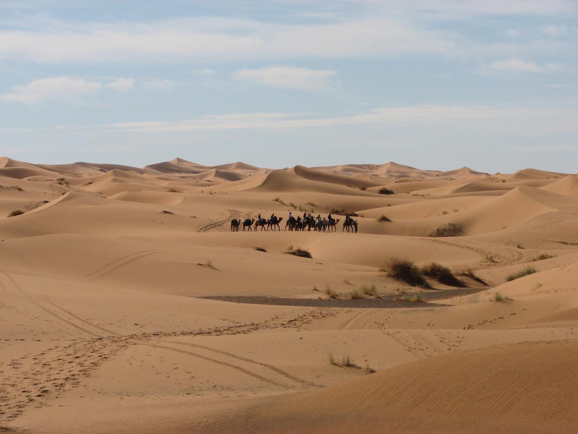Kasbah Erg Chebbi Hotell Merzouga Exteriör bild