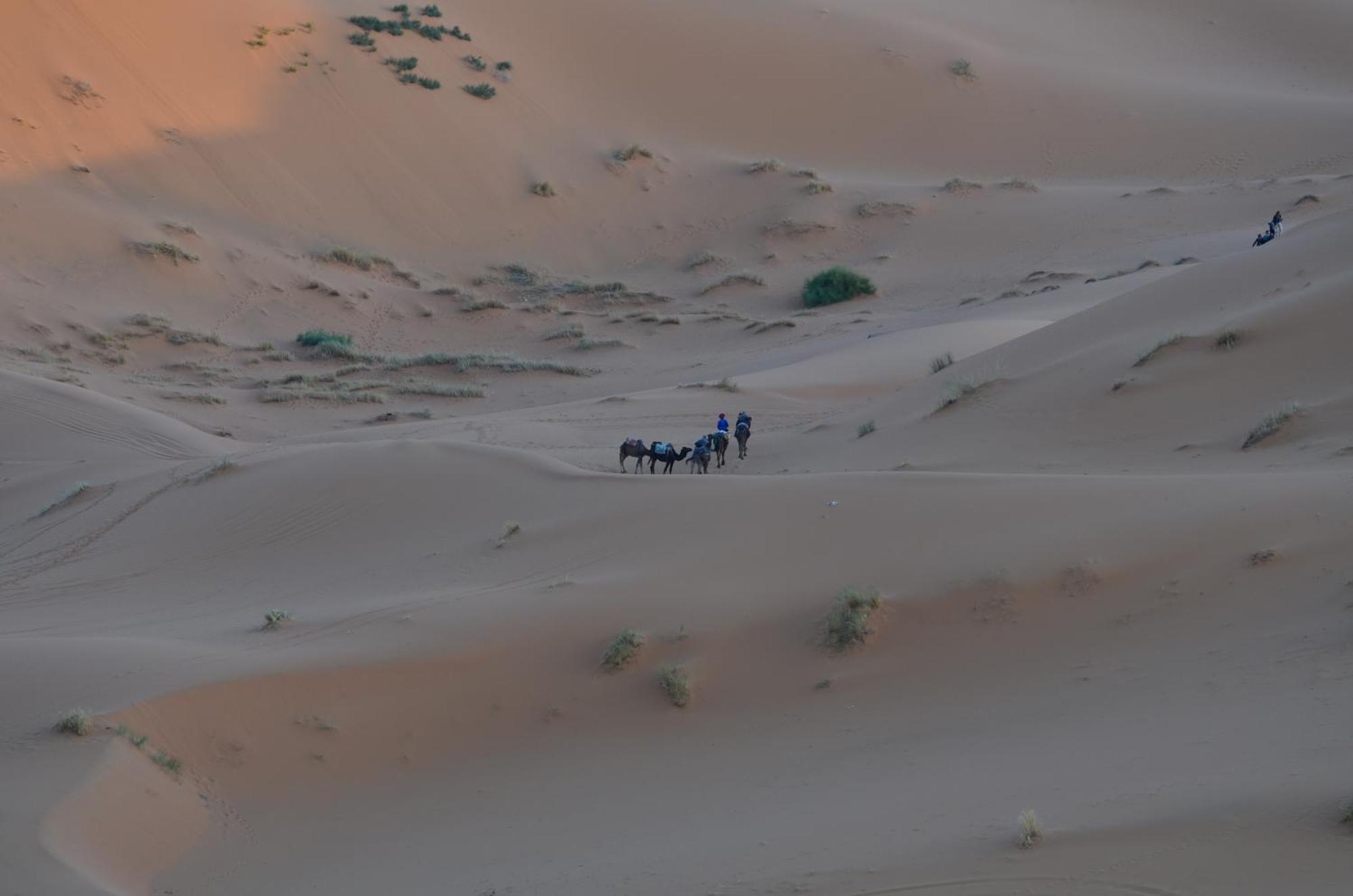 Kasbah Erg Chebbi Hotell Merzouga Exteriör bild