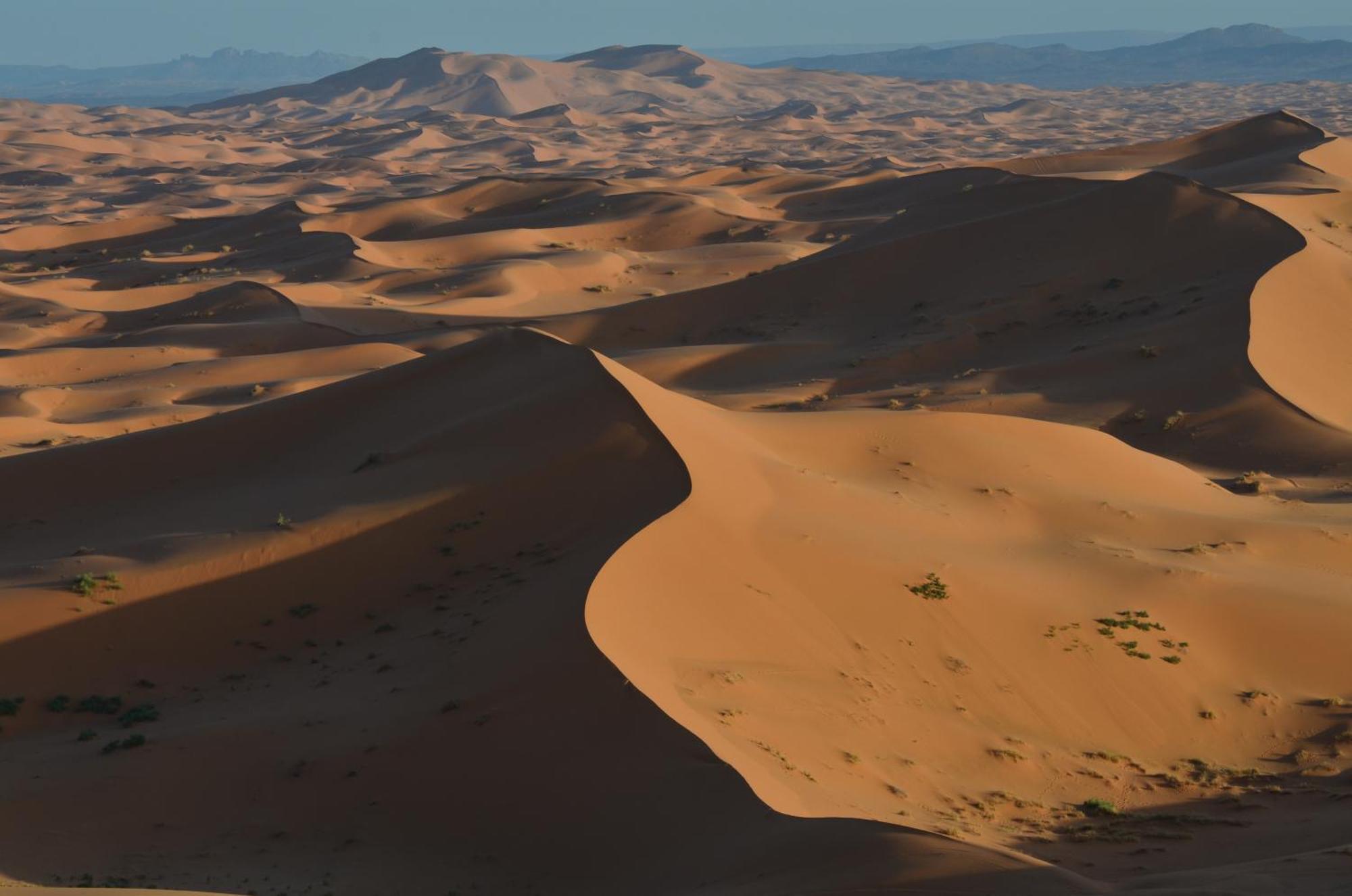 Kasbah Erg Chebbi Hotell Merzouga Exteriör bild